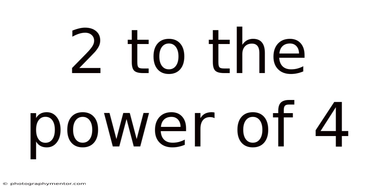 2 To The Power Of 4