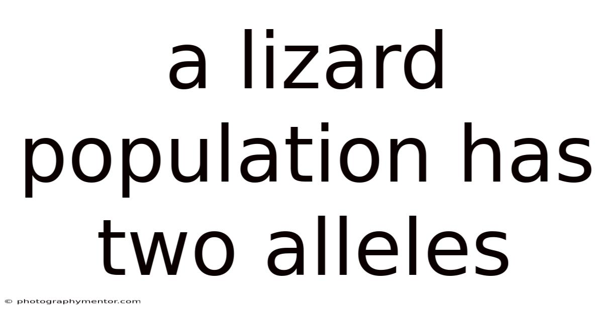 A Lizard Population Has Two Alleles
