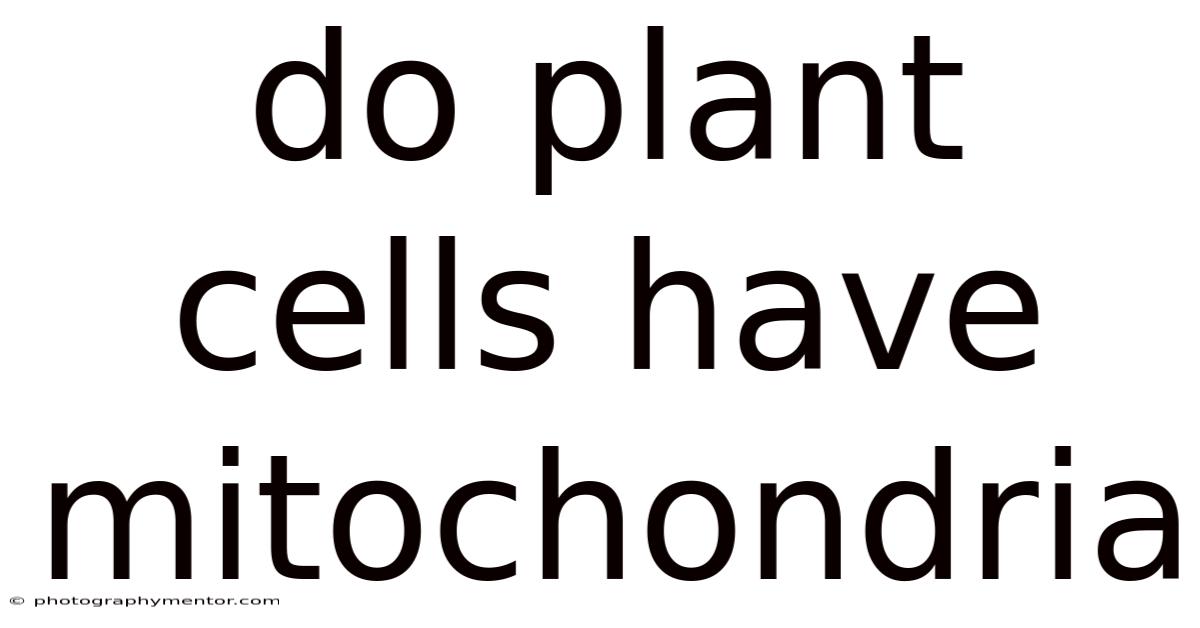 Do Plant Cells Have Mitochondria
