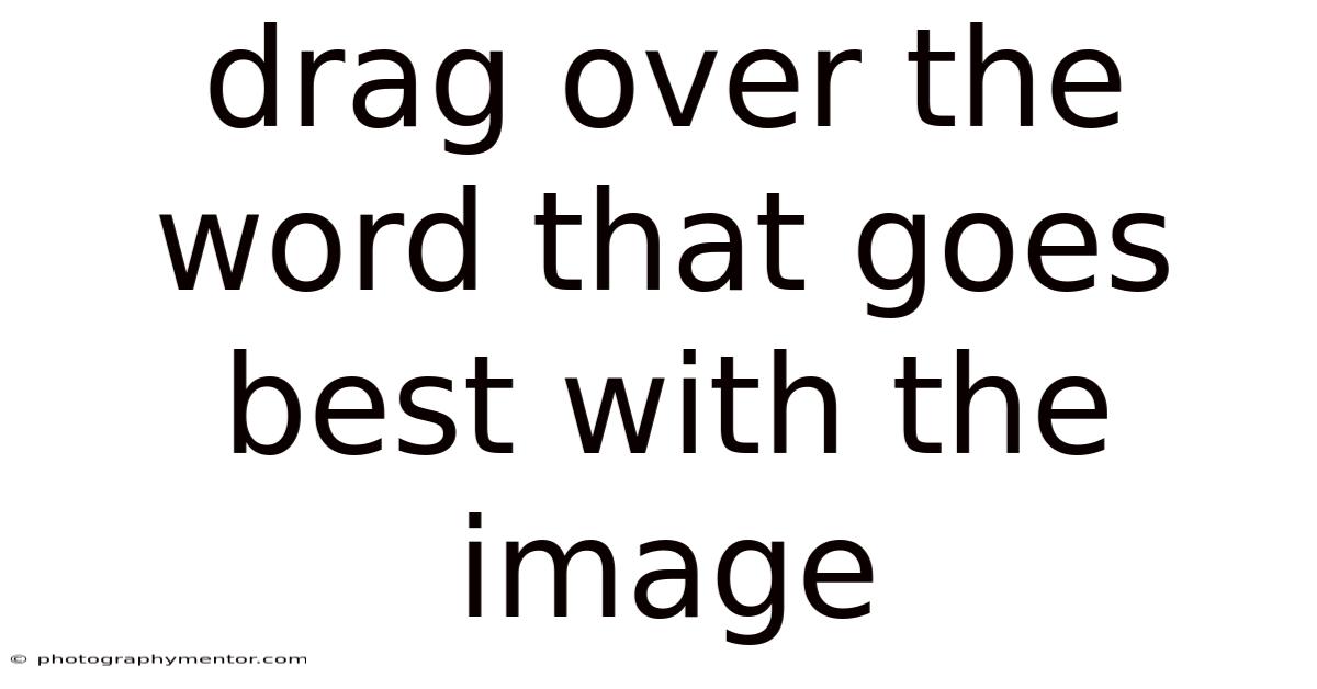 Drag Over The Word That Goes Best With The Image