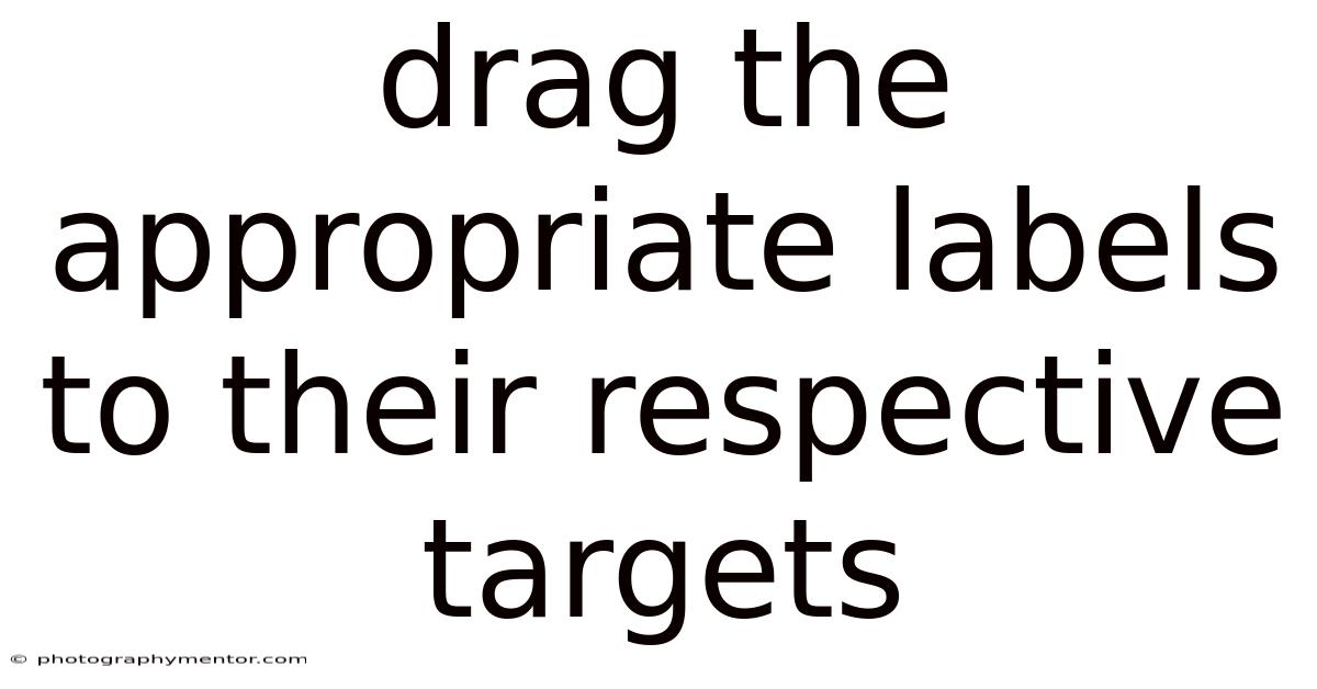 Drag The Appropriate Labels To Their Respective Targets