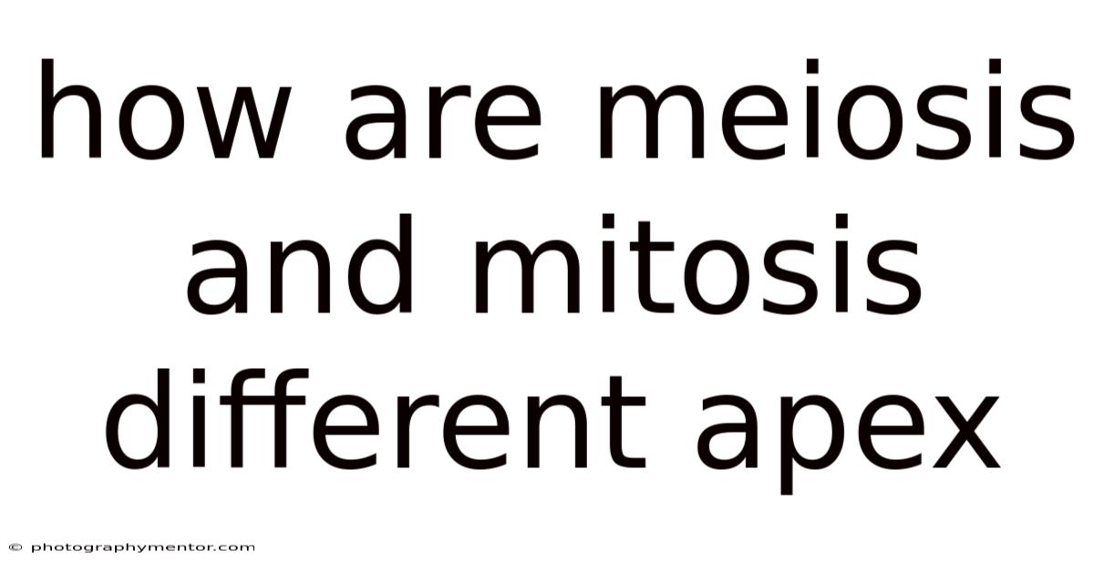 How Are Meiosis And Mitosis Different Apex