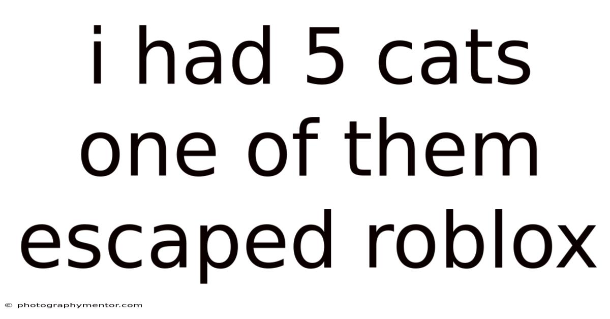 I Had 5 Cats One Of Them Escaped Roblox