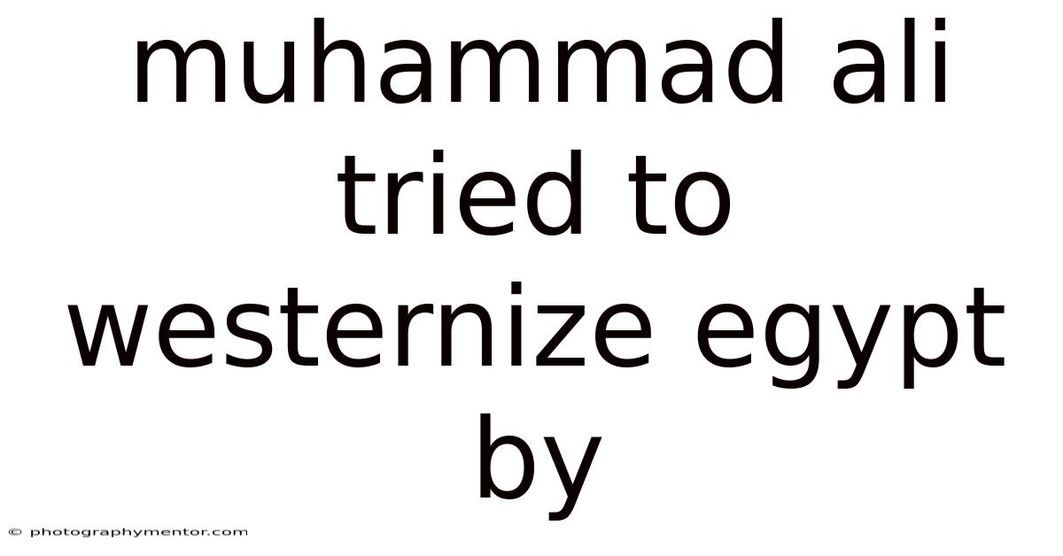 Muhammad Ali Tried To Westernize Egypt By