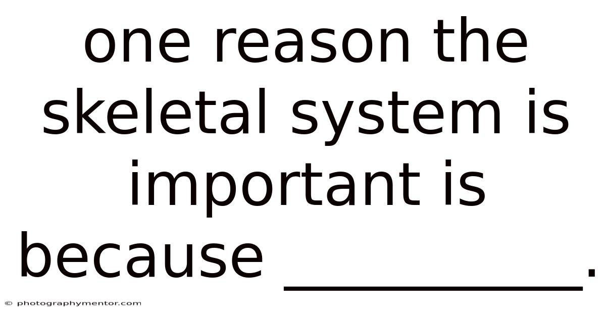 One Reason The Skeletal System Is Important Is Because __________.