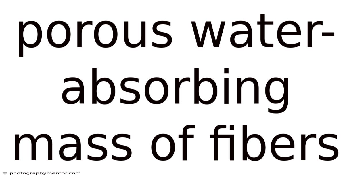 Porous Water-absorbing Mass Of Fibers