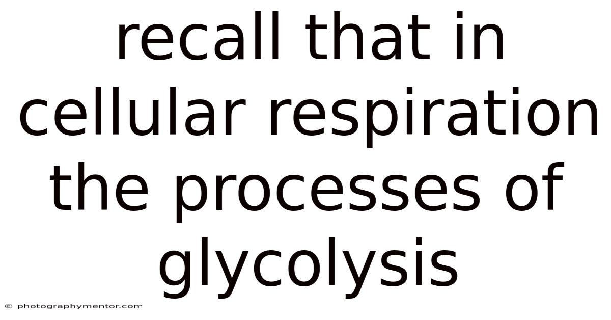 Recall That In Cellular Respiration The Processes Of Glycolysis