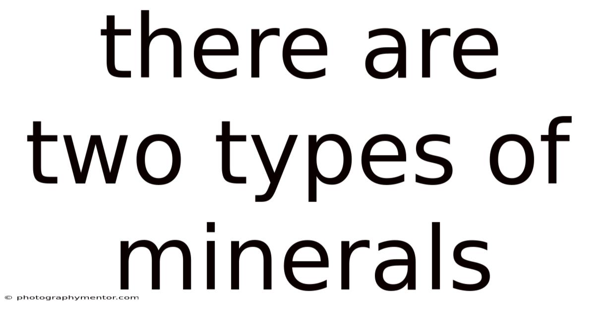 There Are Two Types Of Minerals