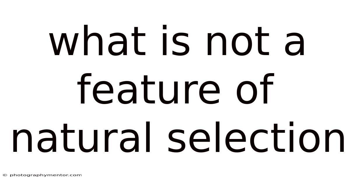 What Is Not A Feature Of Natural Selection