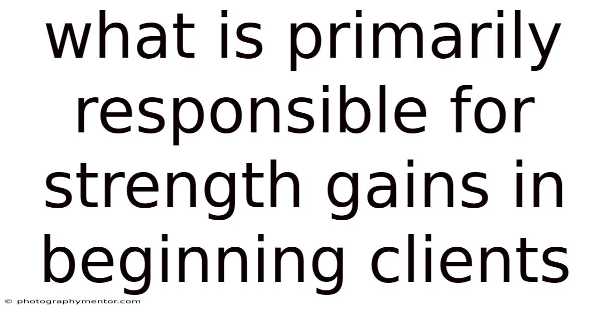 What Is Primarily Responsible For Strength Gains In Beginning Clients