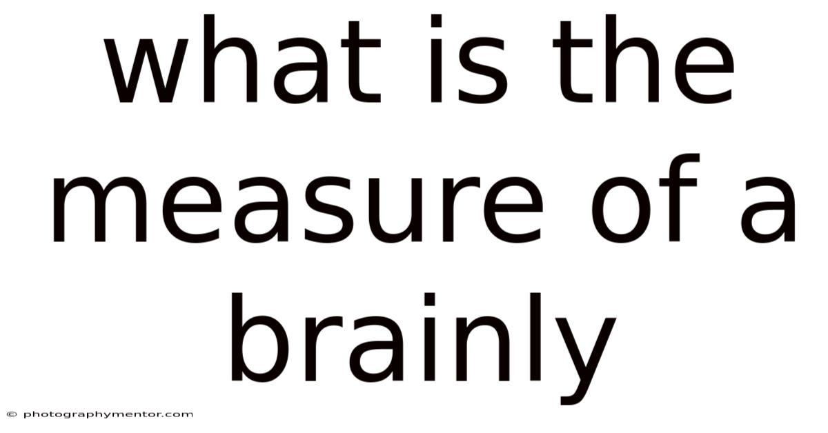 What Is The Measure Of A Brainly