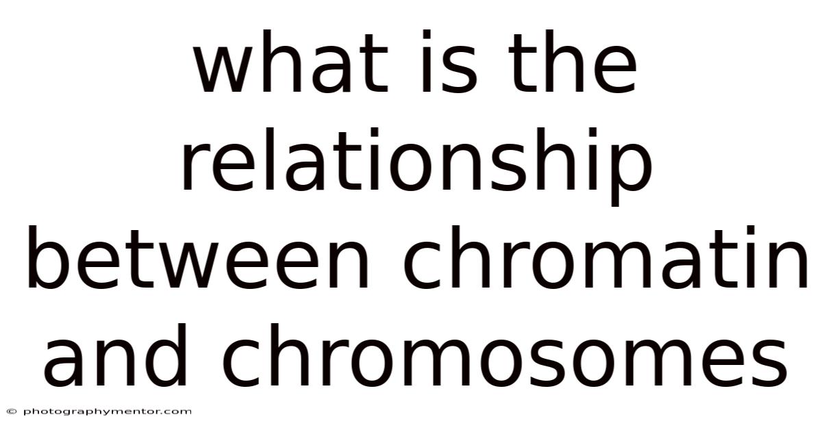What Is The Relationship Between Chromatin And Chromosomes