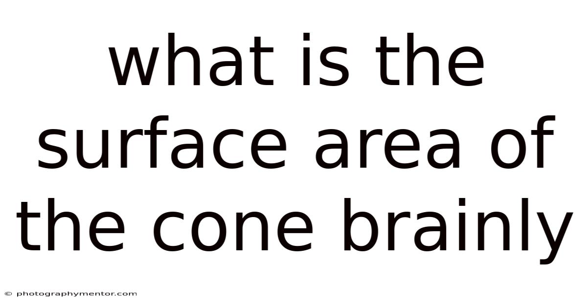 What Is The Surface Area Of The Cone Brainly