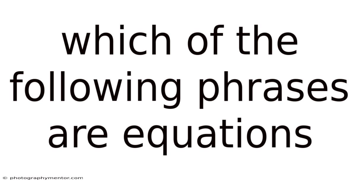 Which Of The Following Phrases Are Equations