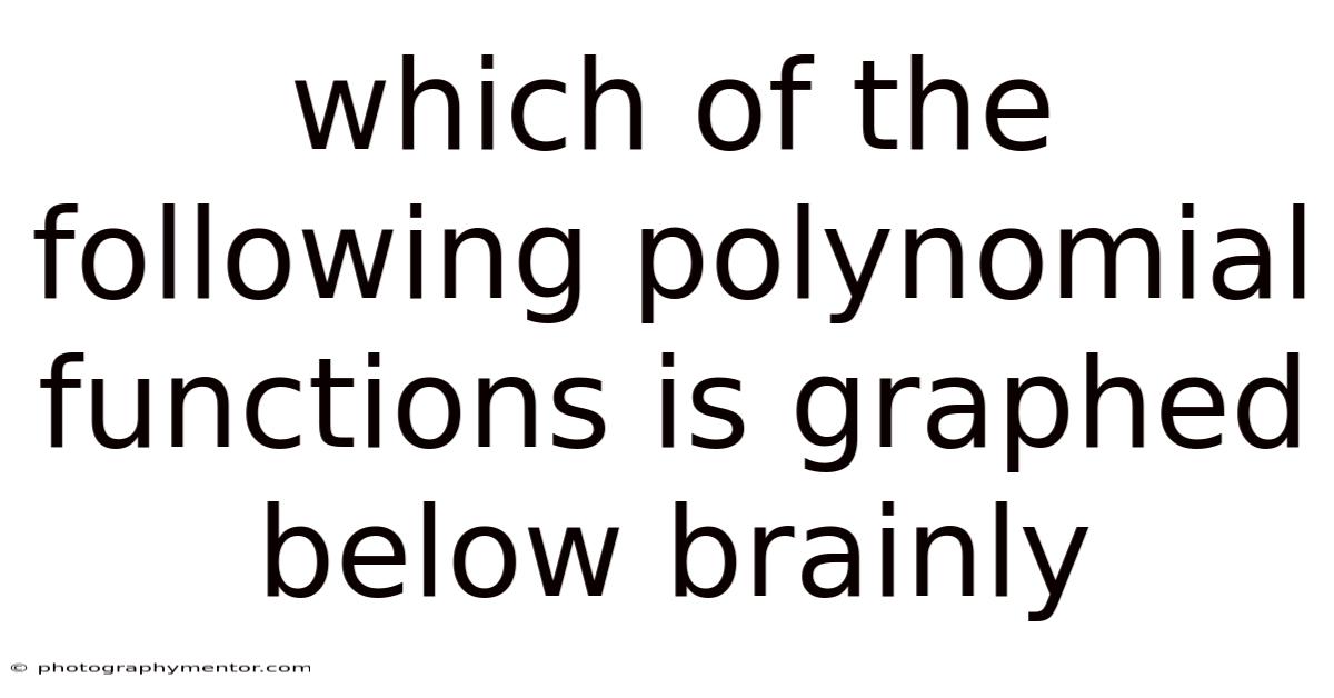 Which Of The Following Polynomial Functions Is Graphed Below Brainly