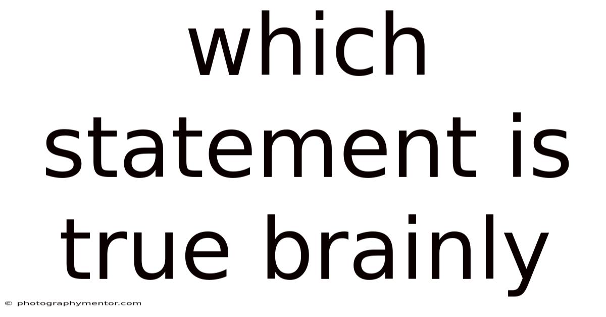 Which Statement Is True Brainly